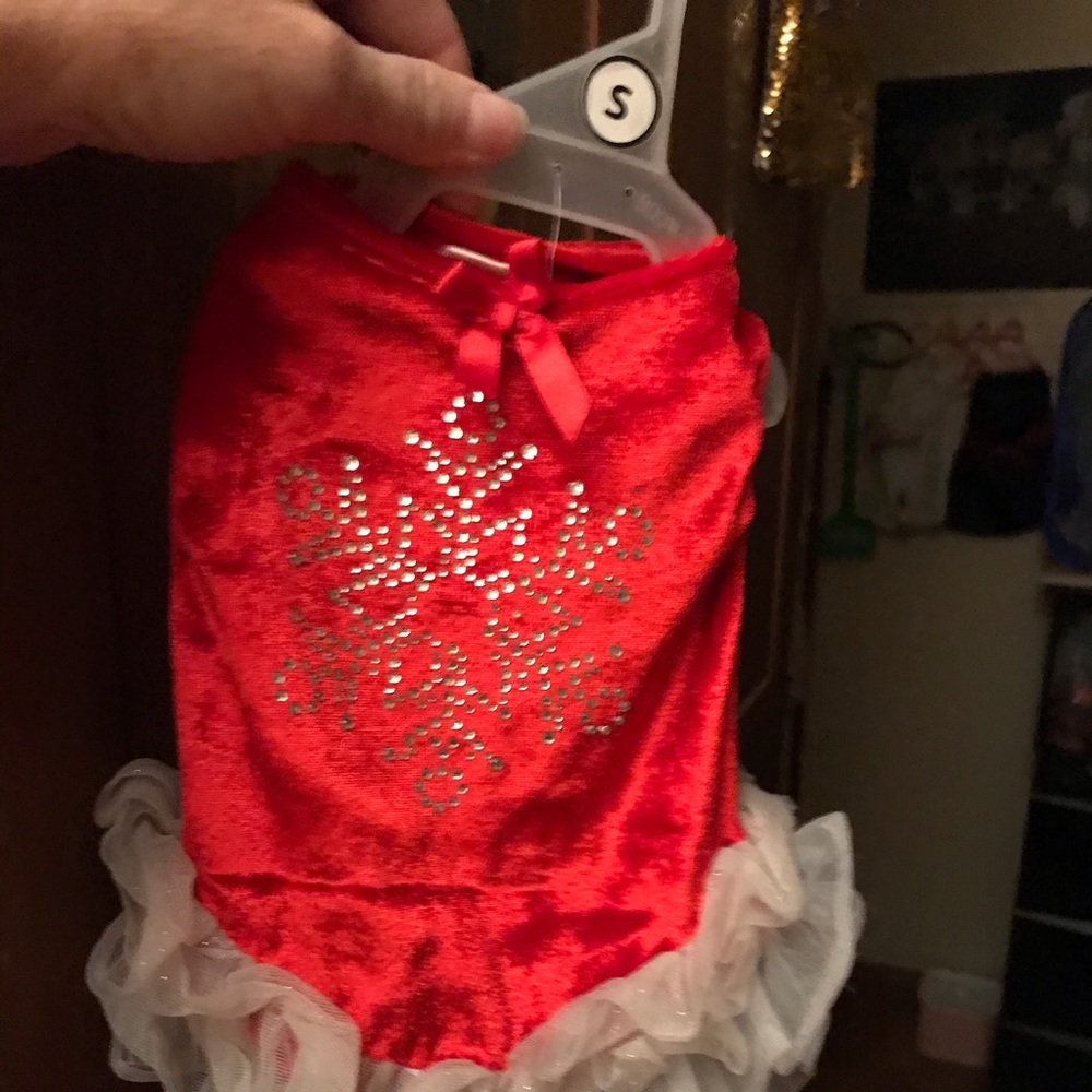 Christmas dress